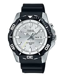 casio 1080